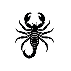 scorpion silhouette isolated on white background