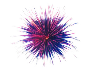 Colorful firework explosion on a dark background.