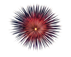 Colorful fireworks bursting in the night sky, white isolated background.