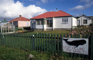 Pancarte non à la chasse à la baleine; Port Stanley; Iles Falkland