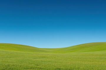 Fototapeta premium Lush Green Field Under Clear Blue Sky