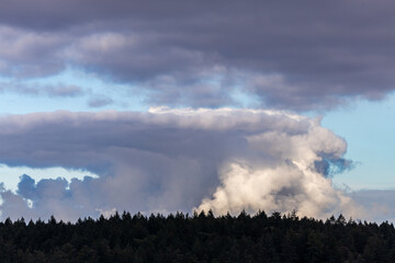 Majestic Cloud Formation Over Forest on Vancouver Island