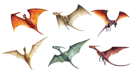 Dragon Flight Collection: Six majestic dragons take flight, showcasing diverse wingspans, colors, and body types in a captivating illustration.  Perfect for fantasy art, children's books.