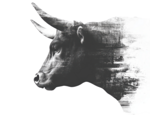 Bull silhouette with a textured overlay on a white isolated background.