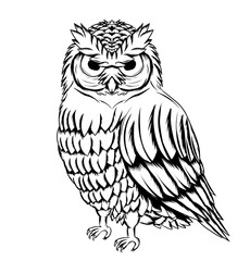 Vector owl with a charming and detailed design. Good for various creative projects.