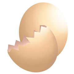 Egg illustration 