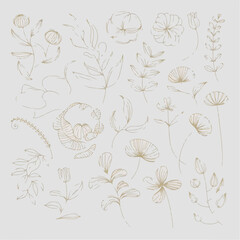 "Minimalist Golden Botanical Vector Illustrations"