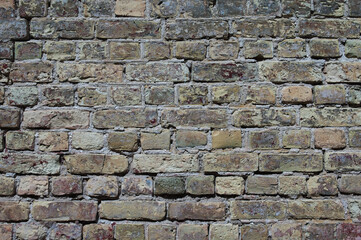 The photo shows an old brick wall close-up