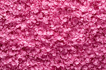 Colorful pink flower petals create a romantic atmosphere for Valentine's Day celebrations