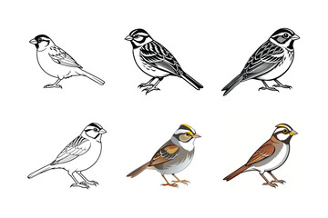 set of birds isolated