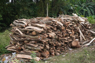Fire wood logs are piled up beside the road