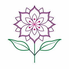 pink flower isolated on white background