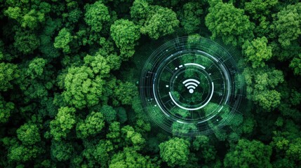 A green forest with a wifi symbol in the middle
