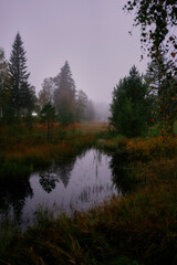 a Norwegian lake surrounded by trees on a dark rainy day