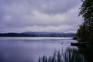 a Norwegian lake surrounded by trees on a dark rainy day
