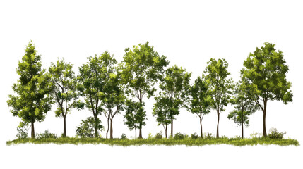 Lush Tree Line: A vibrant row of deciduous trees stands tall against a clear sky, showcasing the beauty of nature's diversity and the tranquility of a wooded landscape.  