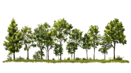 Lush Tree Line: A vibrant row of deciduous trees stands tall against a clear sky, showcasing the beauty of nature's diversity and the tranquility of a wooded landscape.  