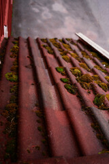 the elements of a red norwegian house on a rainy day