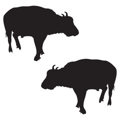 Buffalo Silhouette, Buffalo Vector Silhouette, Buffalo cartoon Silhouette, Buffalo illustration, Buffalo icon Silhouette, Buffalo Silhouette illustration