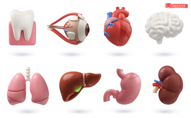 Medicine icon set. 3d render vector objects. Tooth, brain, heart, eye, lungs, liver, stomach, kidney, human internal organs