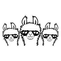 3 Llamas Sunglasses Team Crew Three Friends Crew Design Lover Art Vector Illustration Card T-Shirt Poster Sticker Graphic Print Decorative Drawing Isolated Logo Decoration Symbol Creative Cool Style