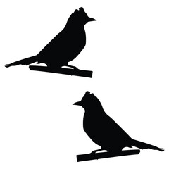 Bulbul Silhouette, Bulbul Vector Silhouette, Bulbul cartoon Silhouette, Bulbul illustration, Bulbul icon Silhouette, Bulbul Silhouette illustration