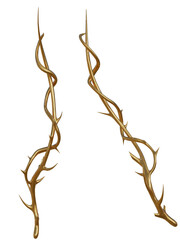 3D rendered golden vine isolated on transparent background © HWWO Stock