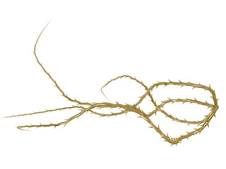 3D rendered golden vine isolated on transparent background