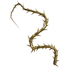 3D rendered golden vine isolated on transparent background © HWWO Stock