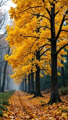 Obraz premium Beech tree in winter forest with yellowed leaves, autumnal colors, tree