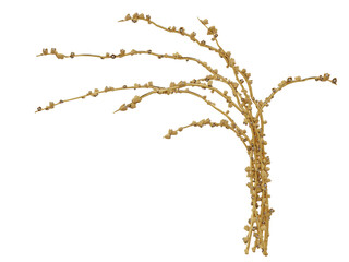 3D rendered golden flora isolated on transparent background