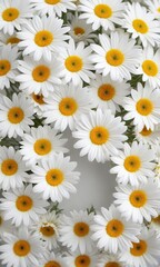 Fresh white daisies with bright yellow centers arranged in a circular pattern on a white surface, circular, symmetrical, decor