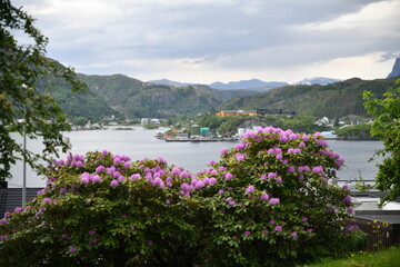 Landscapes around Maloy village in Norway, hiking through the nature and outlook on it great fjords.