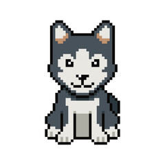 Obraz premium Pixel art cute siberian husky dog vector in retro style for design.