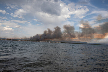Wildfire burning forest near the Adriatic Sea in Croatia. Flames and smoke rise in the background while calm blue water fills the foreground, showing contrast between nature and disaster.