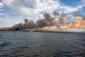 Wildfire burning forest near the Adriatic Sea in Croatia. Flames and smoke rise in the background while calm blue water fills the foreground, showing contrast between nature and disaster.