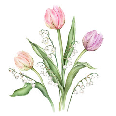 Bouquet of Pastel multi-colored Tulips and tender poured lily of the valley. Watercolor Hand drawn illustration delicate garden composition perennial bulbous flower for spring wedding design or card
