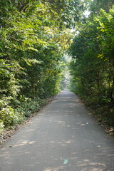 Fototapeta premium Village path or rural road