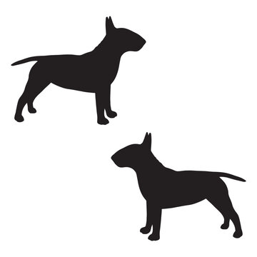 recommend clip art: Bull Terriers Silhouette, Bull Vector Silhouette, Bull cartoon Silhouette, Bull Terriers illustration, Bull Terriers icon Silhouette, Bull Terriers Silhouette illustration