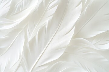 Close-up of smooth, overlapping white feathers creating a soft, textured background.