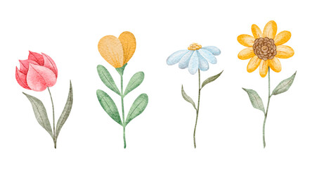 Watercolor flowers set. Yellow sunflower, red tulip, white chamomile in cartoon style. Hand drawing rustic card isolated on background. Floral botanical illustration. Summer daisy flower.