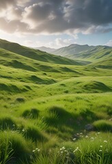 Fototapeta premium Rolling hills of lush green grass swaying gently in the spring breeze , field, fresh spring green grass