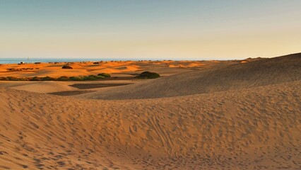 landscape of the Dunes of Maspalomas a small desert of about 4 km² on the island of Gran Canaria in Spain	