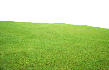 green grass field on white background.
