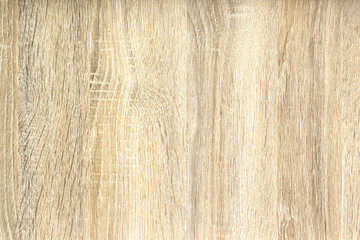 Seamless texture wood old oak or modern wood texture
