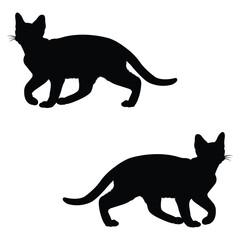 Burmese cat Silhouette, Burmese cat Vector Silhouette, Burmese cat cartoon Silhouette, Burmese cat illustration, Burmese cat icon Silhouette, Burmese cat Silhouette illustration