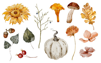 Autumn watercolor clipart set. Hand-painted pumpkins, sunflowers, leaves, acorns and mushrooms in warm fall tones- perfect for seasonal patterns, greeting cards, invitations, packaging and stickers.
