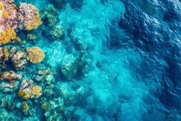 Aerial view of coral reefs beneath crystal-clear waters, vibrant marine life, no human interference, focus on ocean conservation, ultra-high-resolution photography