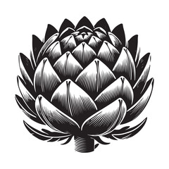 Artichoke Silhouette Vector Illustration, Solid White Background.