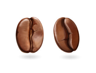 Realistic coffee beans isolated 3d. Arabica grain, Robusta dark beans. Brown seed icon for espresso in cafe menu and coffee drinks. Cappuccino drink symbol. Vector illustration.